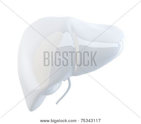 Human Liver. 3D Render. Isolated, Contains Clipping Path.