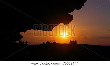 Sunrise Silhouettes At Bondi