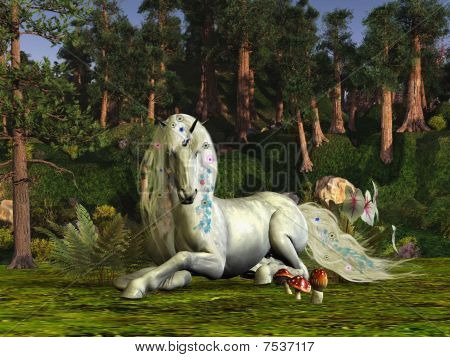 Bosque mágico