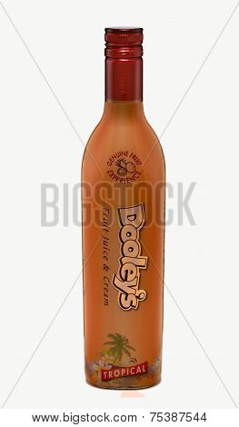 One Bottle Of Dooley's Tropical Liqueur Fruit Juice Cream