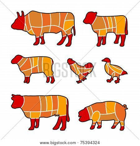 Cutting Meat