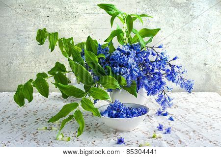 Still Life Bouquet Polygonatum Blue Tones White Crockery