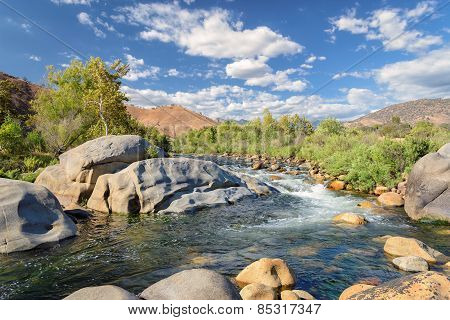 Stone and plants lengthways of rapids in the river.