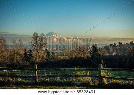 Majestic Mount Rainier