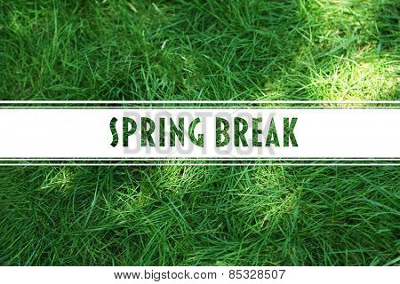 Spring break concept. Green grass background