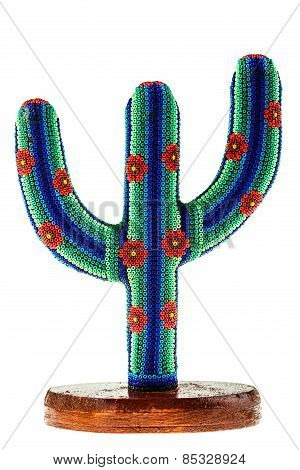 Colorful Cactus From Mexico