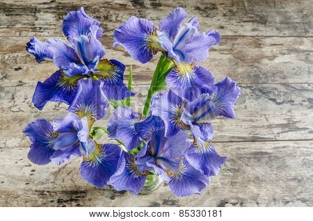 Bouquet Blueflag Or Iris Flower On Wooden Background