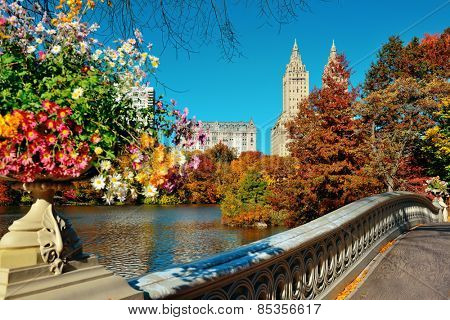 Central Park Autumn and buildings in midtown Manhattan New York City