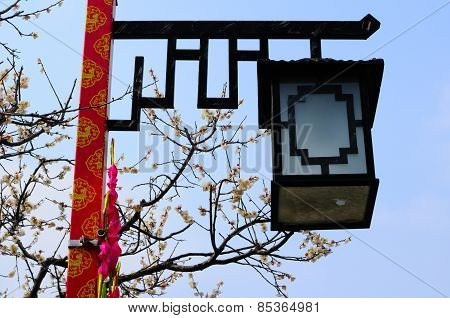 Chinese style light
