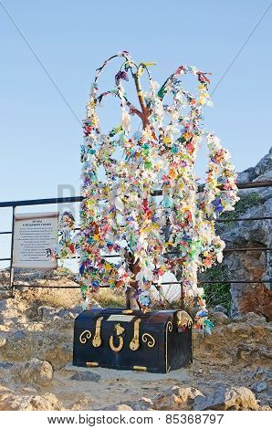 Wish Tree In Crimea
