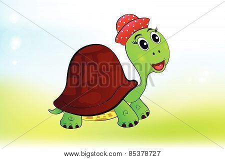 Tortoise
