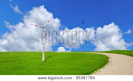 Wind turbine, ecology