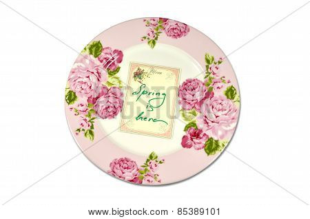 Spring Plate