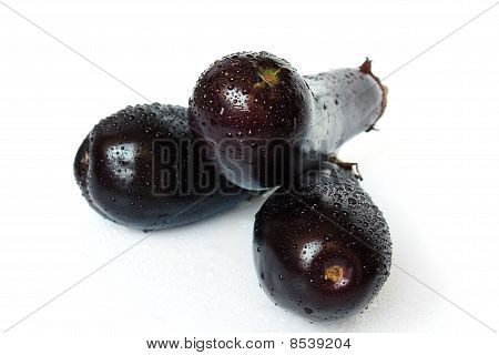 Eggplants