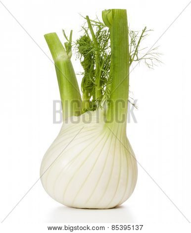 Fresh fennel bulb isolated on white background close up