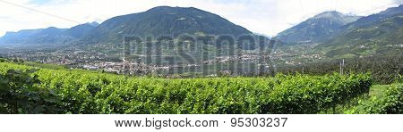 Landscape Of South Tyrol With Traditional Cultivated Lands