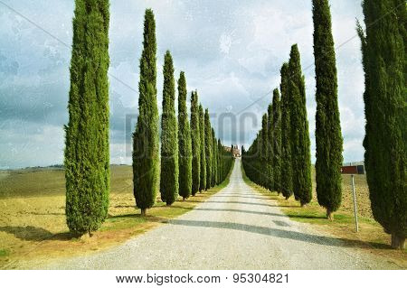 Tuscan Rural Landscape