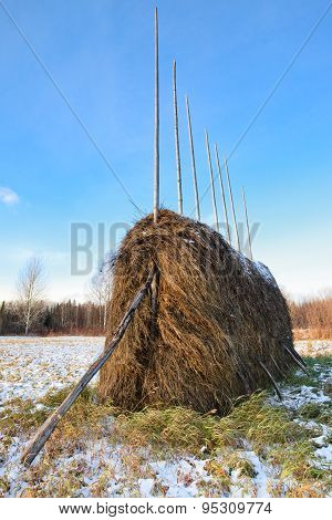 Hay In Stack