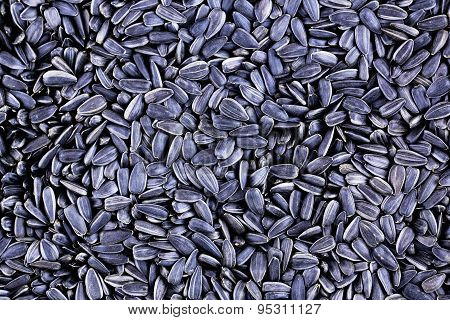 sunflower seeds
