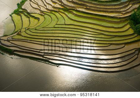 Terraced rice field in water season in Laocai province, Vietnam