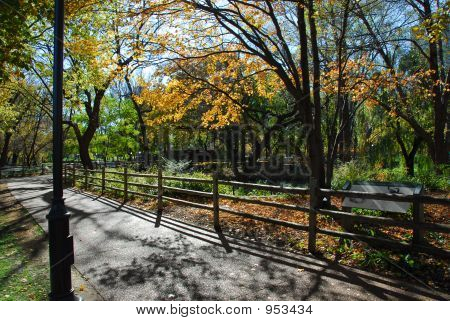 Bright_Path