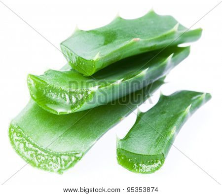 Fresh aloe vera leaves iolated on white background.