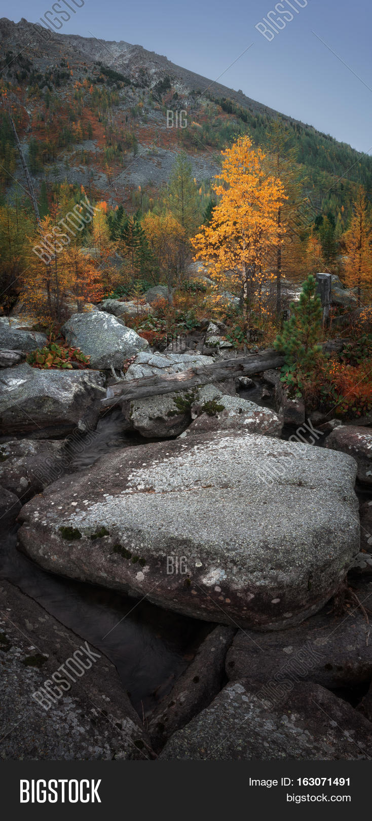 vertical orientation image photo