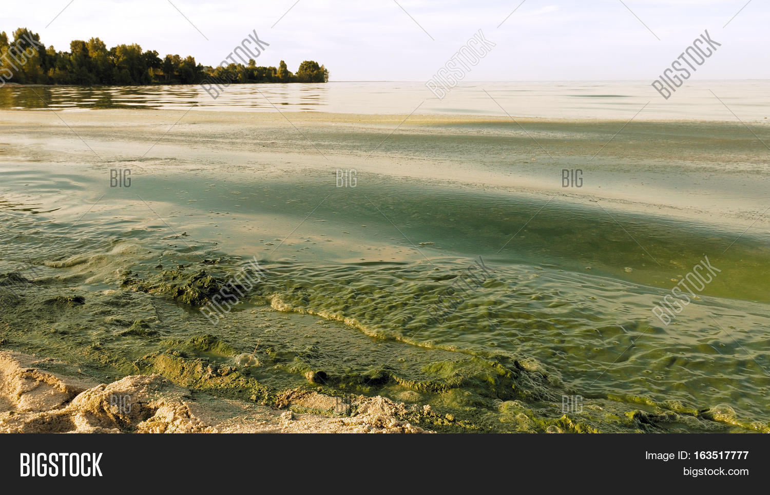 Polluted Water Lake Image & Photo (Free Trial) Bigstock