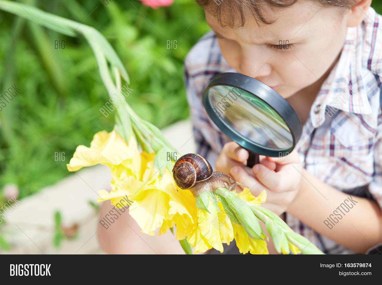 Ребенок изучает природу. Дети исследуют природу. Дети изучают природу. Изучение природы. Дети изучают природу.