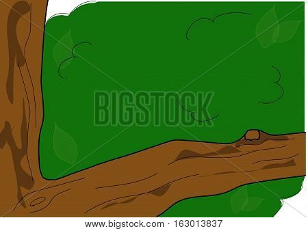 The bough of the tree on the green background.
