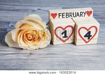 Valentine's day composition with wooden calendar and yellow rose. Handwritten February 14th inside red hearts. Gray wooden background.