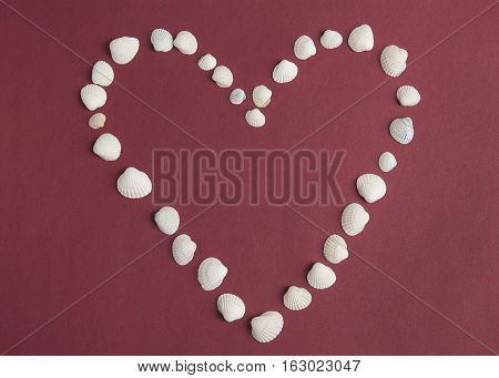 Heart from white seashells on a red background. Valentine's Day, love, sea.