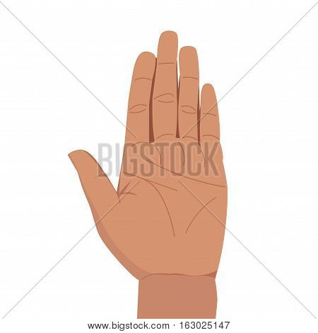 Hand Palm Illustration
