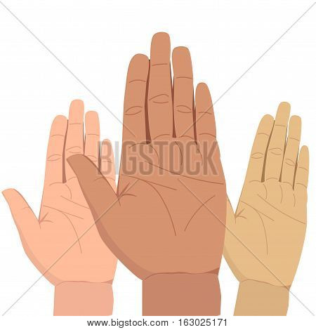 Hand Palm Illustration