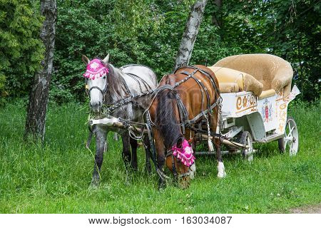 Horse carriage. In the spring garden or the park.