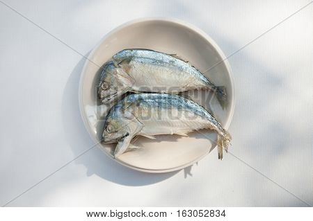 Mackerel and fresh vegetables ingredients for cooking