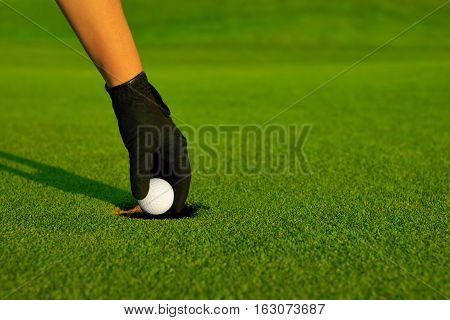 Golf golfer hand retrieving the ball in hole