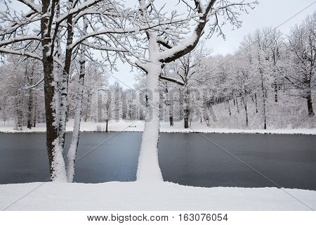 Frozen lake in the park and snow covered forest.