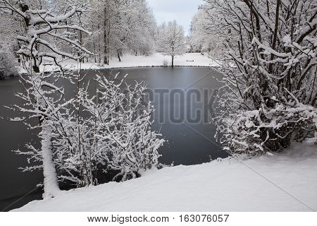 Frozen lake in the park and snow covered trees.