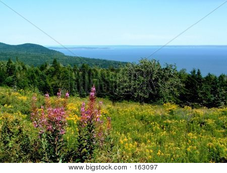 Fundy Coast
