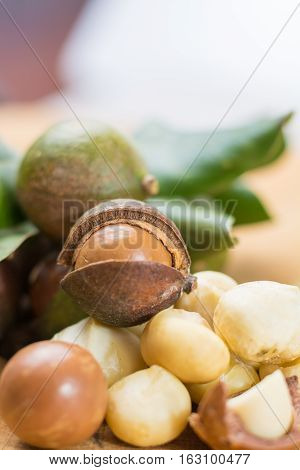Macadamia nuts in shell harvest close up