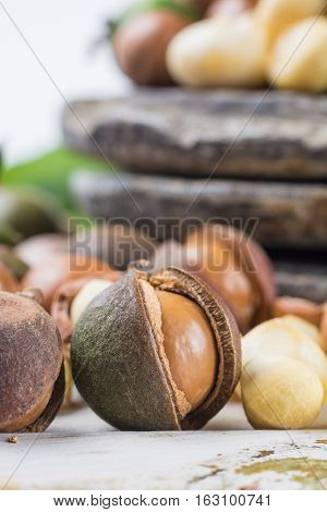 Macadamia nuts in shell harvest close up