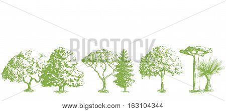 Vector hand drawn tree pattern. Oak, olive, apple-tree, pine, spruce, maple, dragon blood, brahea, cypress, acacia, palm.