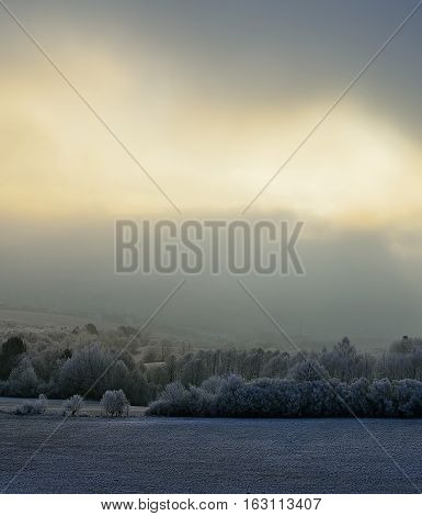 Landscape with trees and fog. Winter inversion in Slovakia. Freeze land. Low sky scenery at sunrise.
