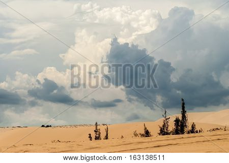 Dunes and white blue cumulus clouds Vietnam