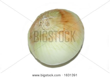 Cibule