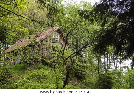 Casetta nel bosco