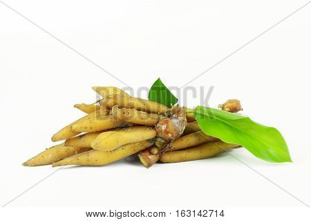 finger root Ingredients for Thai Cuisine on white background
