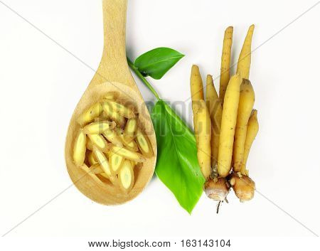 finger root Ingredients for Thai Cuisine on white background