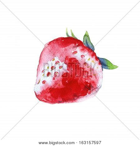 Strawberry. Forest berry. Isolated on a white background. Watercolor illustration.